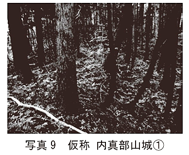 img_20260112-141913.png