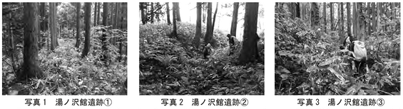 img_20260113-174956.png