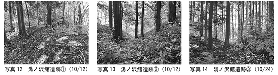 img_20260119-101323.png