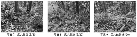 img_20260119-110535.jpg