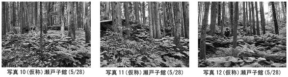 img_20260119-110805.jpg
