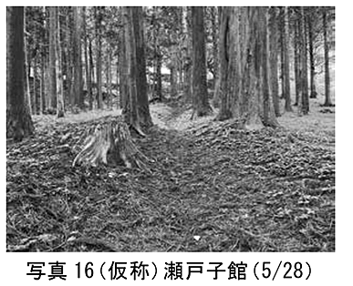 img_20260119-110827.png