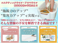 電極2本付業務用