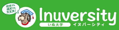 Inuversity(イヌバーシティ)いぬ大学～ワンコ・ワークスの犬のしつけ教材 Inuversity(イヌバーシティ)～いぬ大学～＜トップ＞