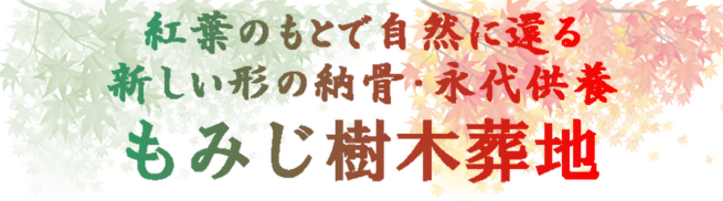 img_20230109-063737.png