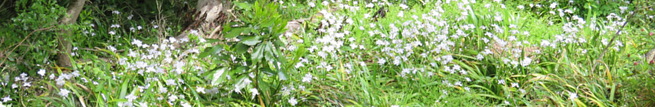 img_20230219-230609.png