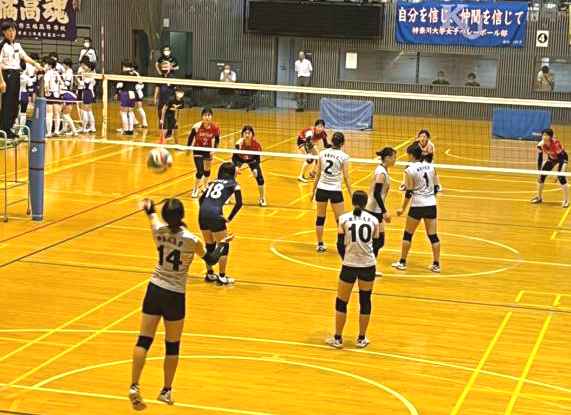 img_20220703-130431.png