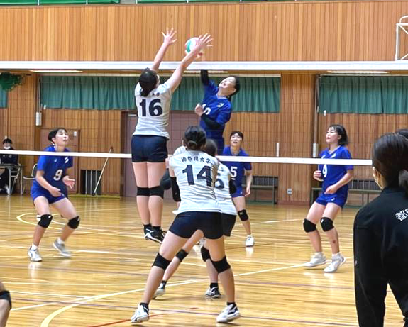 img_20221008-075632.png