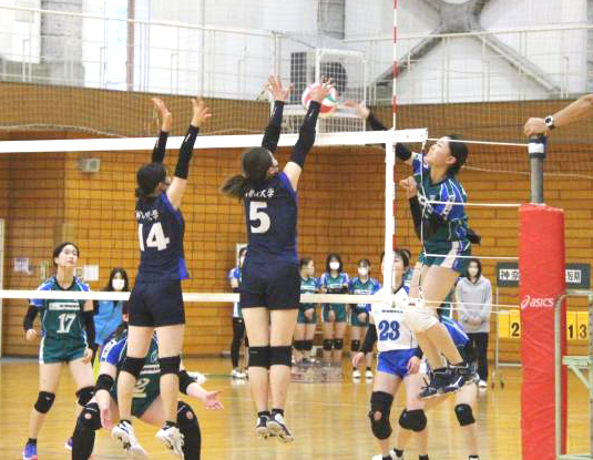 img_20221030-101529.png
