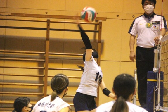 img_20221113-165649.jpg