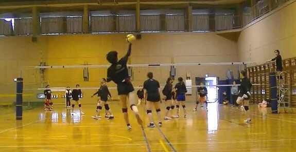 img_20230308-171200.jpg