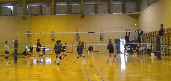 img_20230308-171212.jpg
