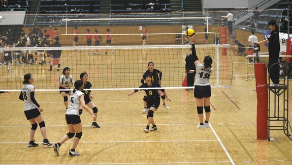 img_20230612-175550.jpg