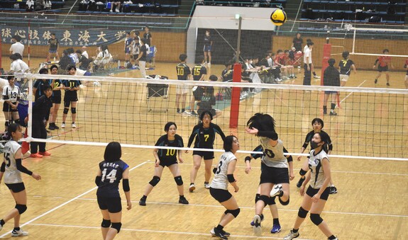 img_20230612-175613.jpg