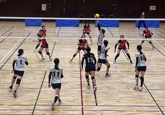 img_20231105-214409.jpg