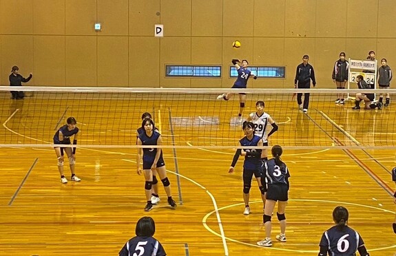 img_20231112-112235.jpg