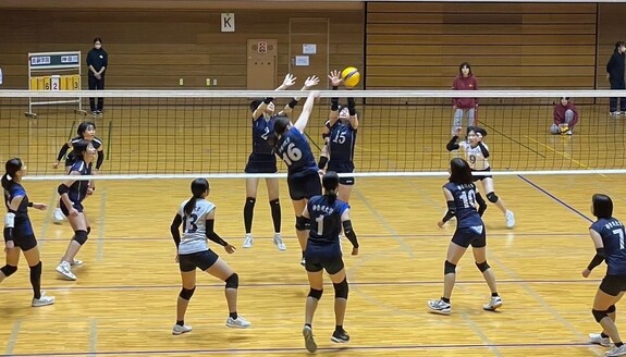 img_20231128-232833.jpg