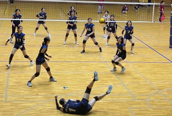 img_20231128-233027.jpg