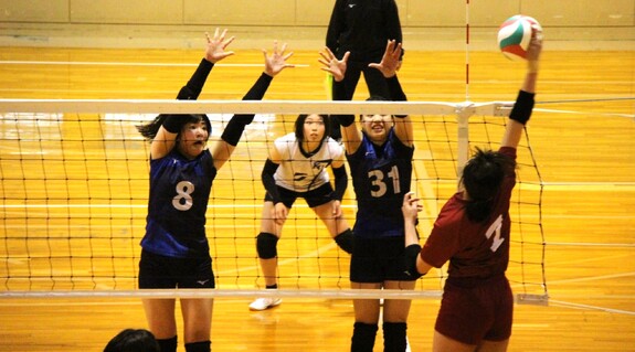 img_20240413-200143.jpg