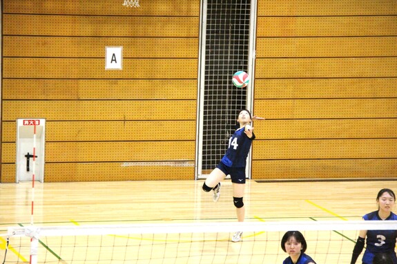 img_20240511-151645.jpg