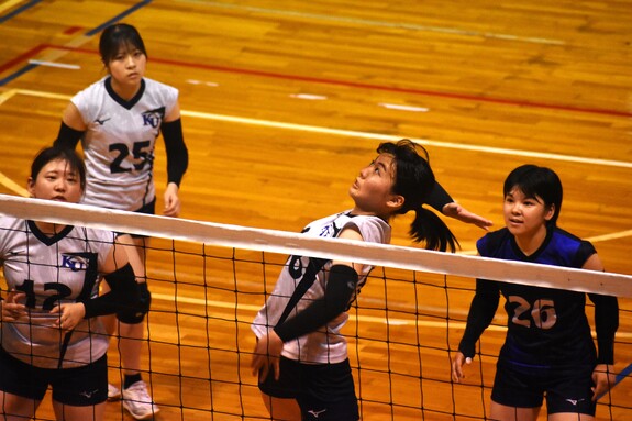 img_20240611-223324.jpg