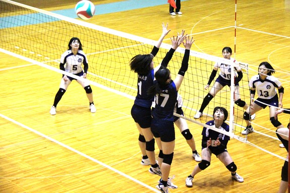 img_20240620-181736.jpg