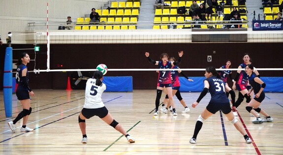 img_20241111-160203.jpg