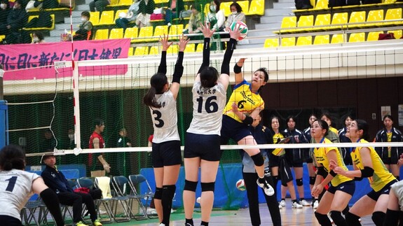 img_20241111-162546.jpg