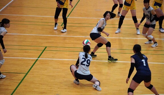 img_20250309-231508.jpg