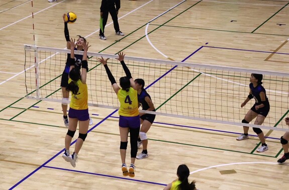 img_20251012-212105.jpg