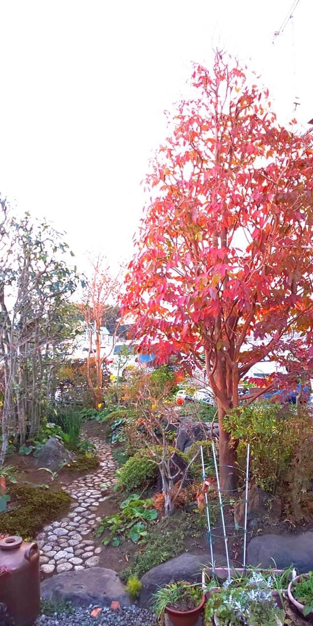 img_20210720-205856.jpg