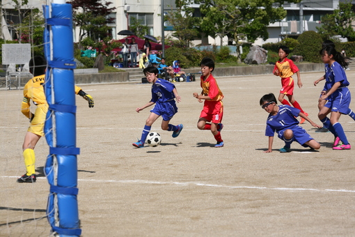 img_20180509-010131.jpg