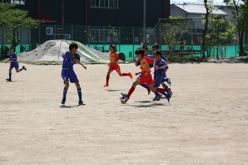 img_20180509-012341.jpg
