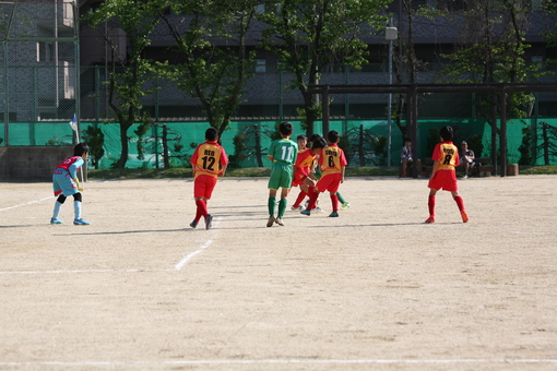 img_20180509-012733.jpg