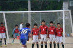 sm_a_20201102-135948.jpg