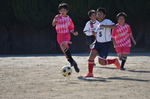 sm_a_20201114-231906.jpg