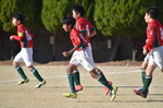 sm_a_20210103-025525.jpg
