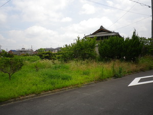 img_20130728-001340.jpg