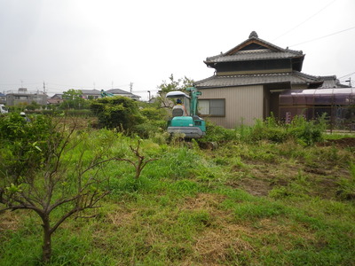 img_20130728-002013.jpg