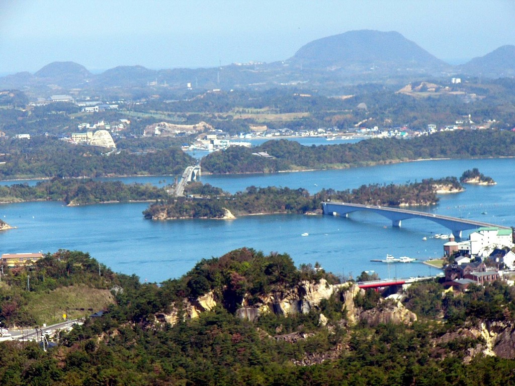 懸 橋 天 草 熊本県