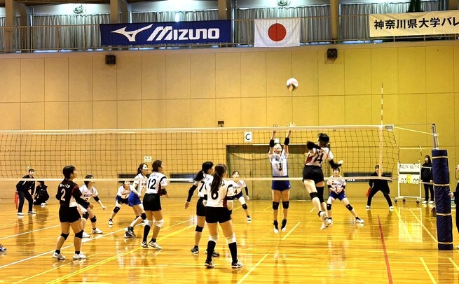 img_20241112-155146.jpg