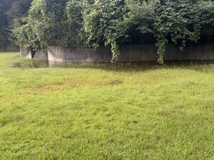 img_20261003-194511.jpg