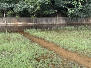 img_20261003-194531.jpg
