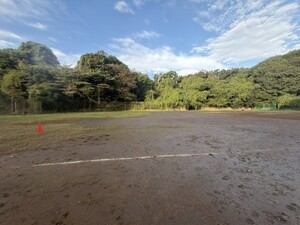 img_20261004-190916.jpg