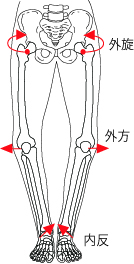 img_20201210-030924.jpg