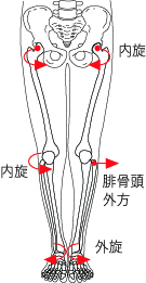 img_20201210-031006.jpg