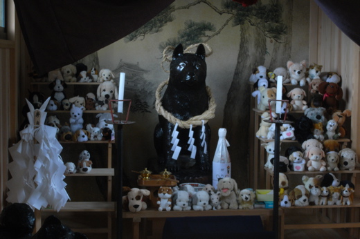 わけあり獣宅 狼系 中部地方