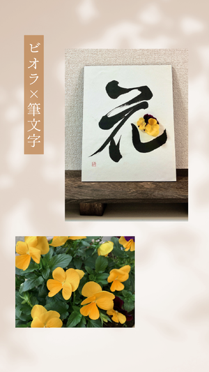 img_20231126-171356.png