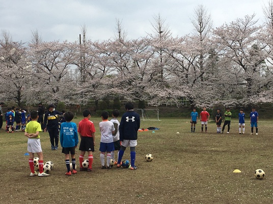 ブログ 浦和駒場サッカースポーツ少年団