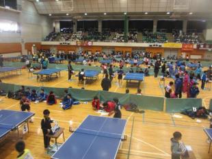 img_20130204-195125.jpg